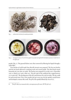 Bild der Seite - 79 - in The Vienna Genesis - Material analysis and conservation of a Late Antique illuminated manuscript on purple parchment