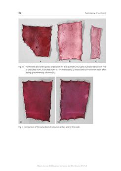 Bild der Seite - 84 - in The Vienna Genesis - Material analysis and conservation of a Late Antique illuminated manuscript on purple parchment
