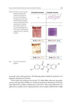 Image of the Page - 105 - in The Vienna Genesis - Material analysis and conservation of a Late Antique illuminated manuscript on purple parchment