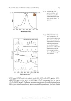 Image of the Page - 113 - in The Vienna Genesis - Material analysis and conservation of a Late Antique illuminated manuscript on purple parchment