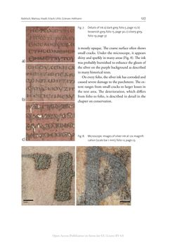 Bild der Seite - 127 - in The Vienna Genesis - Material analysis and conservation of a Late Antique illuminated manuscript on purple parchment