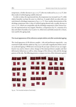 Image of the Page - 180 - in The Vienna Genesis - Material analysis and conservation of a Late Antique illuminated manuscript on purple parchment