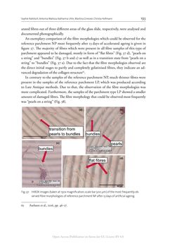 Bild der Seite - 193 - in The Vienna Genesis - Material analysis and conservation of a Late Antique illuminated manuscript on purple parchment