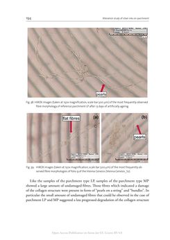Bild der Seite - 194 - in The Vienna Genesis - Material analysis and conservation of a Late Antique illuminated manuscript on purple parchment