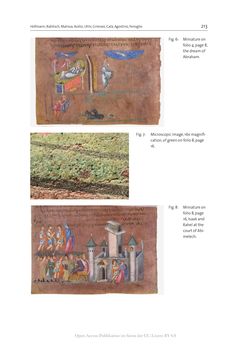 Bild der Seite - 213 - in The Vienna Genesis - Material analysis and conservation of a Late Antique illuminated manuscript on purple parchment