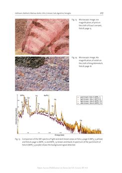 Image of the Page - 217 - in The Vienna Genesis - Material analysis and conservation of a Late Antique illuminated manuscript on purple parchment