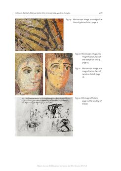 Image of the Page - 221 - in The Vienna Genesis - Material analysis and conservation of a Late Antique illuminated manuscript on purple parchment