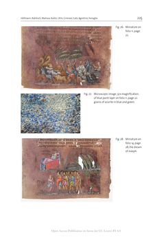 Image of the Page - 225 - in The Vienna Genesis - Material analysis and conservation of a Late Antique illuminated manuscript on purple parchment