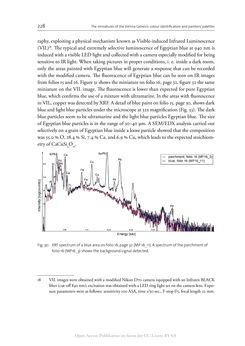 Bild der Seite - 228 - in The Vienna Genesis - Material analysis and conservation of a Late Antique illuminated manuscript on purple parchment