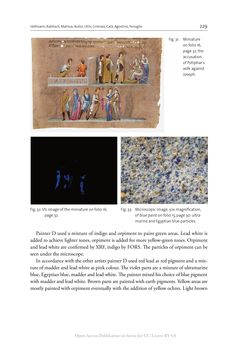 Bild der Seite - 229 - in The Vienna Genesis - Material analysis and conservation of a Late Antique illuminated manuscript on purple parchment