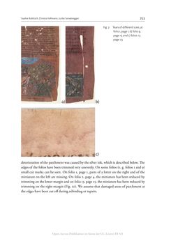 Image of the Page - 253 - in The Vienna Genesis - Material analysis and conservation of a Late Antique illuminated manuscript on purple parchment