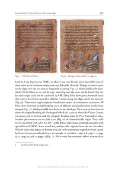 Bild der Seite - 255 - in The Vienna Genesis - Material analysis and conservation of a Late Antique illuminated manuscript on purple parchment
