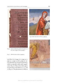 Bild der Seite - 257 - in The Vienna Genesis - Material analysis and conservation of a Late Antique illuminated manuscript on purple parchment