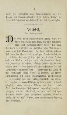 Image of the Page - 12 - in Wiener Guckkastenbilder