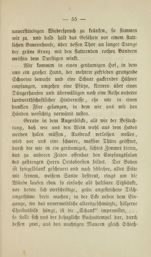 Bild der Seite - 55 - in Wiener Guckkastenbilder