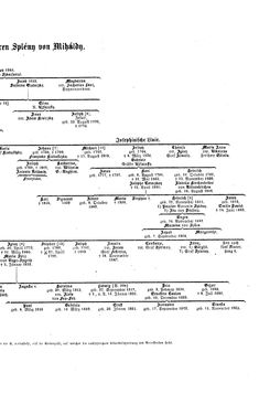 Bild der Seite - (000229) - in Biographisches Lexikon des Kaiserthums Oesterreich - Sonnklar-Stadelmann, Band 36