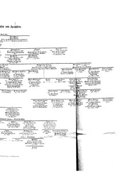 Image of the Page - (000315) - in Biographisches Lexikon des Kaiserthums Oesterreich - Sonnklar-Stadelmann, Volume 36